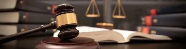 ester en justice juridiction et tribunal